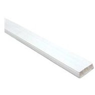 Canaleta    110 x 20 x 2100 mm   (2.10 m)                 30046